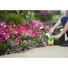 Miracle-Gro Water Soluble All Purpose Plant Food 4lb -Landscape Zone GUEST 03890c96 a69f 461c a8fc 9afc237eeb88