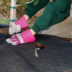 Landscape Zone -Landscape Zone GUEST 0666368a 1c80 494f 82c5 08bb86caaf5f