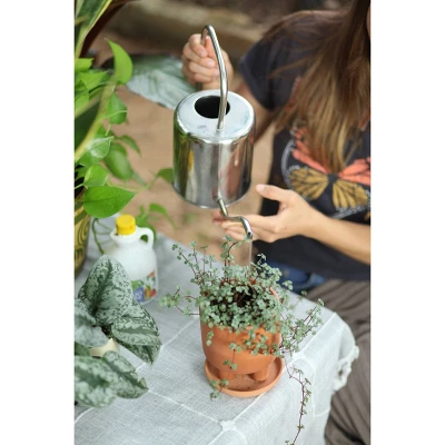 Good Dirt Naturals Indoor/Outdoor Plant Food - 15 Fl Oz 5 Good Dirt Naturals Indoor/Outdoor Plant Food - 15 Fl Oz - Image 3