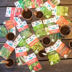 Back To The Roots 20pk Organic USA Herbs And Vegetable Seeds -Landscape Zone GUEST 25174905 b564 4663 a98c 918794c8af71