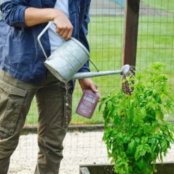 Arber 8oz Organic Bio Fungicide Concentrate 12 Arber 8oz Organic Bio Fungicide Concentrate -Landscape Zone GUEST 2a097dc5 741a 47e6 b566 d6323720fd5f