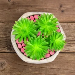 Garden Stones-500 Count Glow In The Dark Solar Pathway Pebble Lights-Decorative Glowing Rocks By Nature Spring (Yellow) 10 Garden Stones-500 Count Glow In The Dark Solar Pathway Pebble Lights-Decorative Glowing Rocks By Nature Spring (Yellow) -Landscape Zone GUEST 2cb44203 cb3a 478f 8d2d 570a4555aca8