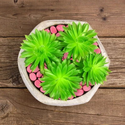 Garden Stones-500 Count Glow In The Dark Solar Pathway Pebble Lights-Decorative Glowing Rocks By Nature Spring (Yellow) 6 Garden Stones-500 Count Glow In The Dark Solar Pathway Pebble Lights-Decorative Glowing Rocks By Nature Spring (Yellow) - Image 4