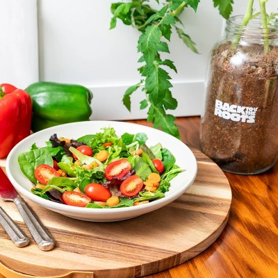 Back To The Roots Organic Tomato Grow Kit 6 Back To The Roots Organic Tomato Grow Kit - Image 4