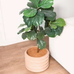 Envelor 10pk 14" Coco Coir Plant Cover Mulch Mat 8 Envelor 10pk 14" Coco Coir Plant Cover Mulch Mat -Landscape Zone GUEST 5fdc306f fbba 4caa 91c7 0205d85d5164