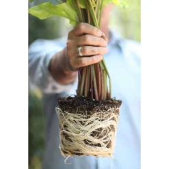 Good Dirt Naturals Indoor/Outdoor Plant Food - 15 Fl Oz 9 Good Dirt Naturals Indoor/Outdoor Plant Food - 15 Fl Oz -Landscape Zone GUEST 7911ed93 91c5 452d 80a6 57f63806691c