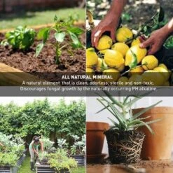 Palmetto 18 Pound Organic Grade 3 Coarse Vermiculite Planting Soil Additive For Greenhouse Gardening, Hydroponic, And Landscaping, 4 Cubic Feet -Landscape Zone GUEST 88e6e075 4a97 42c0 b3f6 1768493d503a