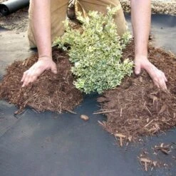 DeWitt Weed Barrier Pro 3-Ounce Commercial And Home Garden Landscape Weed Block Barrier Heavy-Duty Non-Woven Ground Cover Fabric, Black -Landscape Zone GUEST 8ec83369 f28f 49ca 8c05 1a8805e12ebc