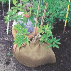 DeWitt NAT4300 4 X 300 Ft All Natural Organic Biodegradable Paper Mulch Garden Weed Control Barrier -Landscape Zone GUEST b442a65b acf5 4154 a557 05faf91953c2