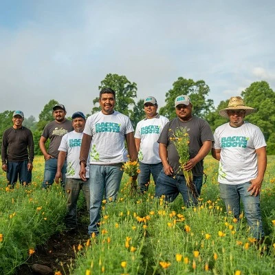 Back To The Roots 5pk Organic USA Flower Seeds 3 Back To The Roots 5pk Organic USA Flower Seeds