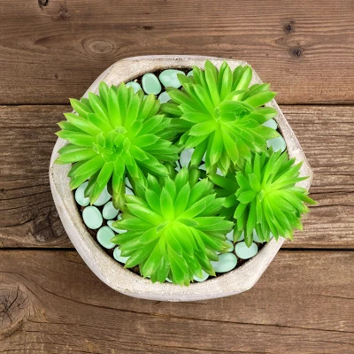 Nature Spring Glow In The Dark Solar-Powered Garden Stones - 200-pc 6 Nature Spring Glow In The Dark Solar-Powered Garden Stones - 200-pc - Image 4