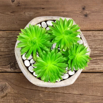 Nature Spring Glow-in-the-Dark Solar Pathway Pebble Lights, 200 Pcs. - Blue 6 Nature Spring Glow-in-the-Dark Solar Pathway Pebble Lights, 200 Pcs. - Blue - Image 4