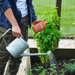 Arber 8oz Organic Plant Food Concentrate -Landscape Zone GUEST dd8c2696 839e 4b9a bb22 efbe7d263a1c