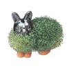 Joseph Enterprises, Inc Chia Pet Grass Planter: Bunny 2 Joseph Enterprises, Inc Chia Pet Grass Planter: Bunny -Landscape Zone GUEST dd9cfc9b 8f72 493b ae8d 1f87b8194103