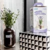 Back To The Roots Organic Lavender Grow Kit -Landscape Zone GUEST df204d46 2d0c 4a8b 879f 9e028abe9c64