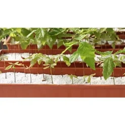 GROW!T Super Coarse #2 Perlite For Hydroponic Greenhouses Gardens Potting Soil 4 Cubic Feet 8 GROW!T Super Coarse #2 Perlite For Hydroponic Greenhouses Gardens Potting Soil 4 Cubic Feet -Landscape Zone GUEST e7241291 8be5 4783 bedc cc66ec1d9c01