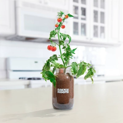 Back To The Roots Organic Tomato Grow Kit 3 Back To The Roots Organic Tomato Grow Kit