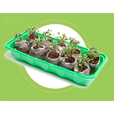 Window Garden Microgreen Organic Wheatgrass 3 Pack Refill 3 Window Garden Microgreen Organic Wheatgrass 3 Pack Refill