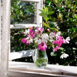 Back To The Roots 5pk Organic USA Flower Seeds 13 Back To The Roots 5pk Organic USA Flower Seeds -Landscape Zone GUEST f4347ac0 4180 4cf1 b5e5 4b29a72da013