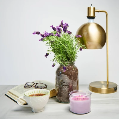 Landscape Zone -Landscape Zone GUEST 093e7da4 00b3 46ff bdf9 c31816e7e8df