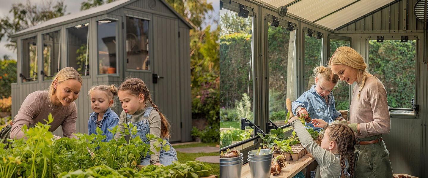 Landscape Zone -Landscape Zone