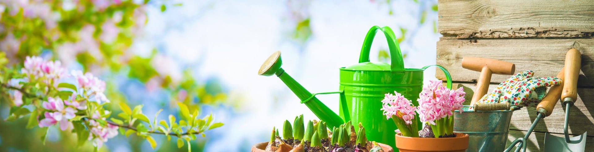 Landscape Zone -Landscape Zone inner banner